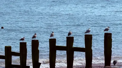 Photo from Hastings, 14 Aug