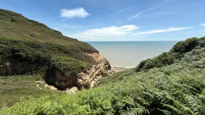 Photo from Hastings, 5 Jul